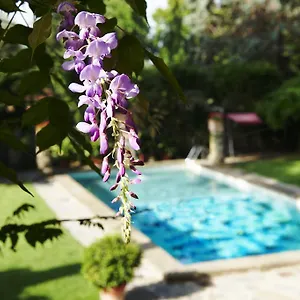 **** Hotel Park Palace Italien